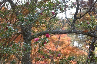 s-171117 (14)TUJƃCn~W.jpg
