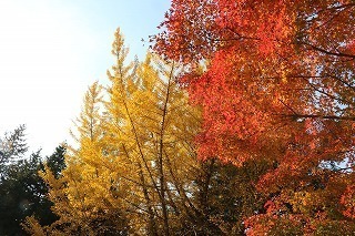 s-171117 (3)C`EƃCn~W.jpg