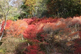 s-171117 (9)hE_ccW.jpg