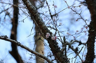 s-1712072 (27)WEKcUN.jpg