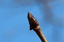 s-180115~ (8)g`mL.jpg