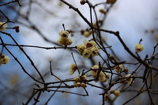 s-180126 (12).jpg