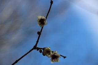 s-180126 (6).jpg