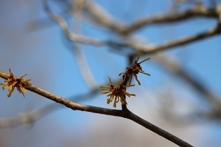 s-180208 (17)Vi}TN.jpg
