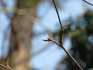s-180215 (1)IIJmL~.jpg