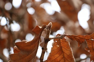 s-180216 (12)JVtƓ~.jpg