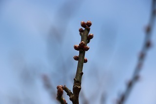 s-180216 (20)Eڂ.jpg