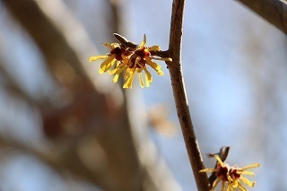 s-180219 (3)Vi}TN.jpg