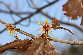s-180219 (6)Vi}TN.jpg