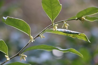 s-180222 (10).jpg