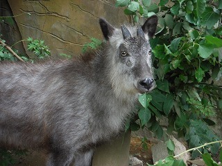 s-DSCF1571.jpg