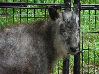 s-DSCF1577.jpg