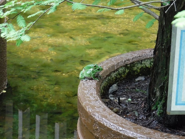 s-DSCF8628.jpg