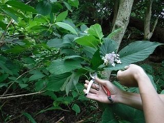 s-DSCF8923.jpg