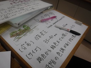 s-DSCF9071.jpg
