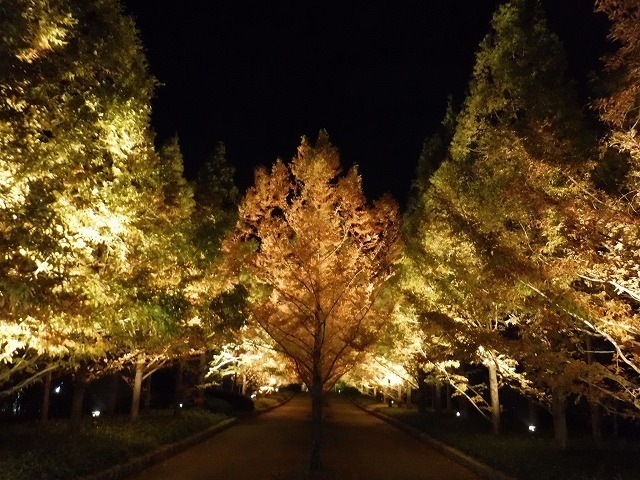 s-DSCF9376.jpg