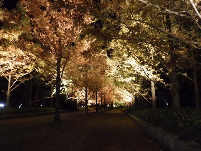 s-DSCF9379.jpg