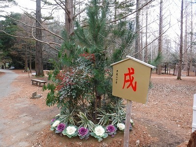 s-DSCF9586.jpg