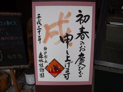 s-DSCF9587.jpg