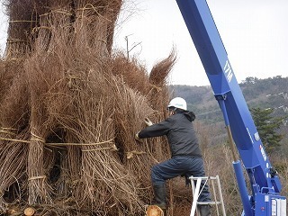 s-DSCF9598.jpg