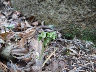 s-DSCF9719.jpg
