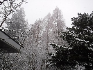 s-DSCF9722.jpg