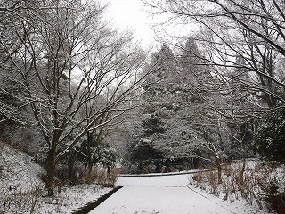s-DSCF9837.jpg