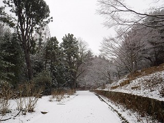 s-DSCF9841.jpg