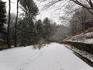 s-DSCF9853.jpg