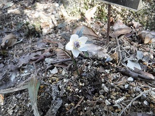 s-DSCF9959.jpg