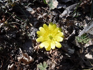 s-DSCF9965.jpg