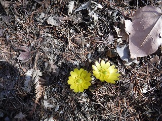 s-DSCF9967.jpg