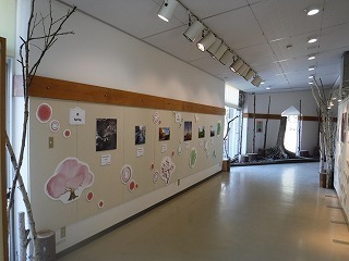 s-DSCF9984.jpg