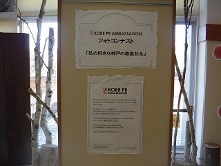 s-DSCF9992.jpg