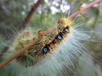 s-IMG_0189.jpg