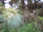 s-IMG_0191.jpg